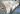 images (4)